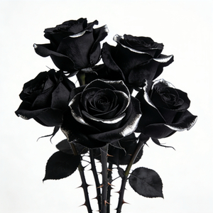 让我们好好的在一起