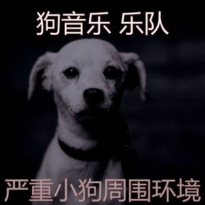 抚慰的可爱的狗回忆