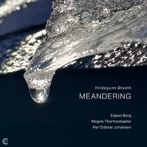 Meandering