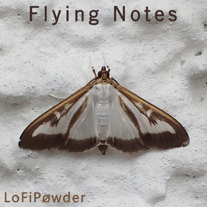 Flying Notes