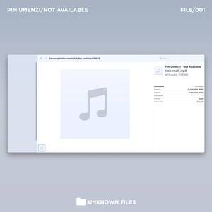 Not Available (Extended Mix)