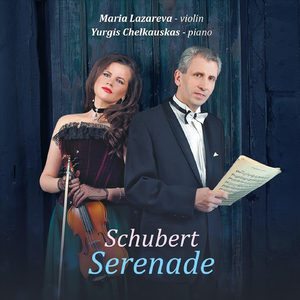 Sonata in A Minor, D. 385: I. Allegro moderato
