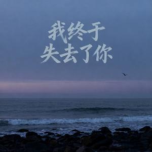 我终于失去了你 (DJ版)