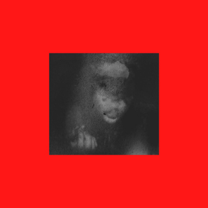 Let The Bodies Hit the Floor