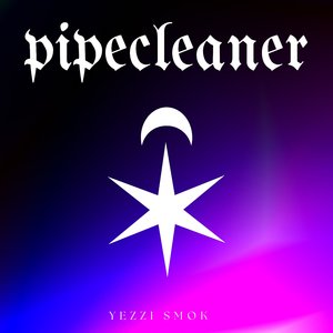 Pipecleaner