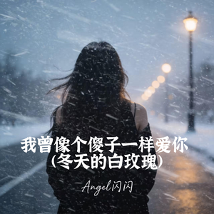 像个傻瓜拼命爱你