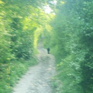 Negative Wishing Well