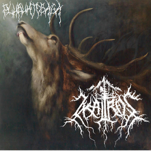 Last Northern Embrace