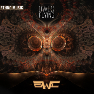Owls Flying (Original Mix)
