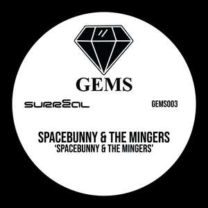 Space Bunny (Housey Doingz Remix)