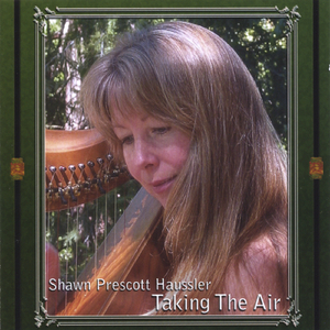 An Buachaillin Ban/Morrison's Jig