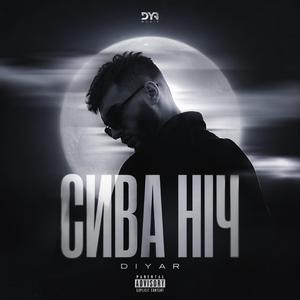 Сива ніч