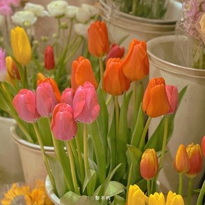 借过（cover印子月）