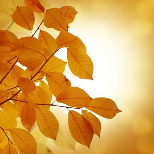 一つのメルヘン