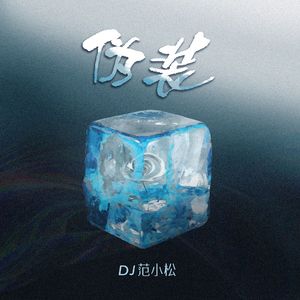 伪装（DJ范小松版）