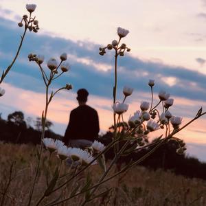 Requiem of Myself