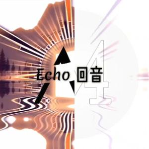 Echo 回音