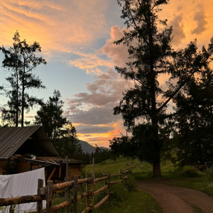 Nothin' on Me（cover）