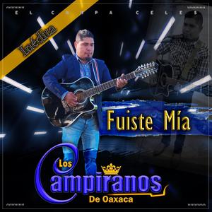 Fuiste Mía