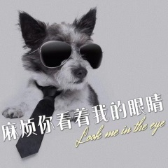 麻烦你看着我的眼睛