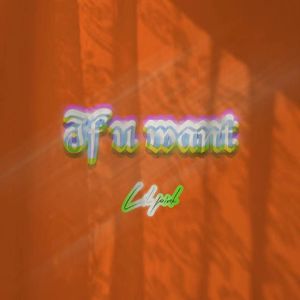If u want(Prod.heidium)