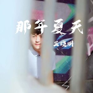 那年夏天