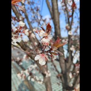 站着等你三千年（感动版）