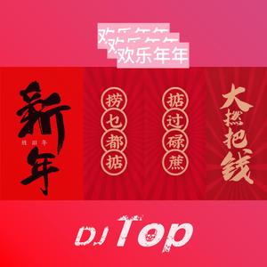 欢乐年年 (DJ Top Bootleg)