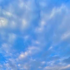 和她一起看电影290