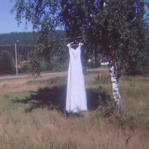 En kärleksvisa