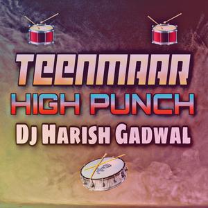 TEENMAAR HIGH PUNCH BASS