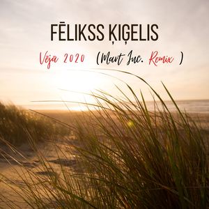 Vējā 2020 (Mart Inc. Remix)