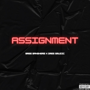 Assignment