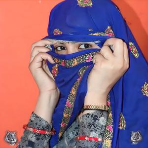 बोल न तो रूसे भी क्यू च ओई मेहमान जीजी का (feat. Battilal Meena)