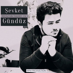 Gönlümde Hasretin Var