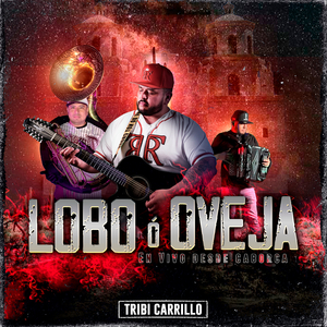 Lobo o Oveja (En Vivo)