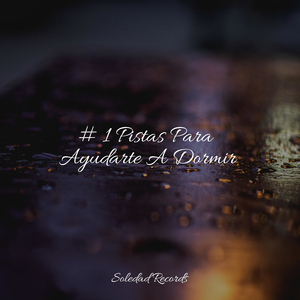 Jugar Con La Música