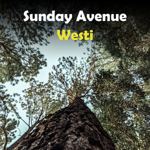 Sunday Avenue