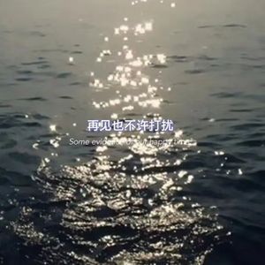 再见也不许打扰