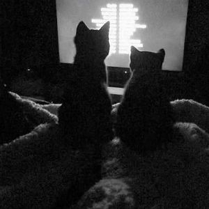 “欲言” SASIOVERLXRD&BOBBYNOPEACE Type Beat