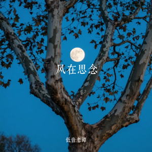 风在思念
