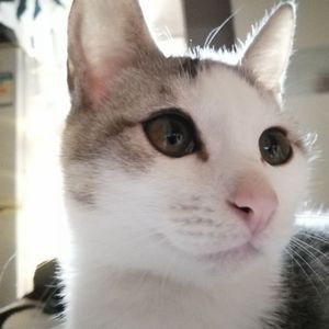 【Free】 Lofi beat