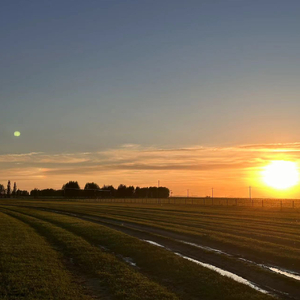 鼻塞（Cover：陈一豪Clear）