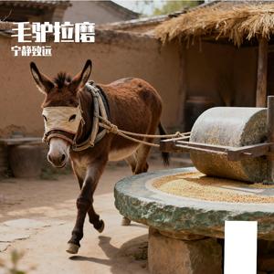 毛驴拉磨