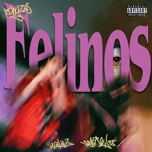 Lechuzas Y Felinos (feat. Walaz)