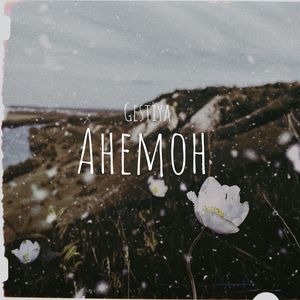 Анемон