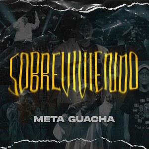 Sobreviviendo