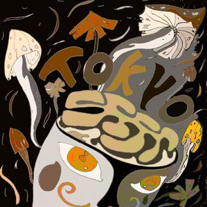 废弃的房子 野草和云