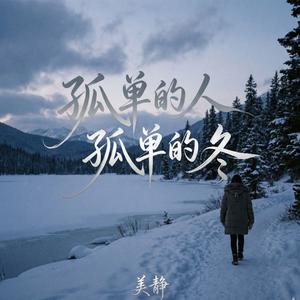 孤单的人孤单的冬