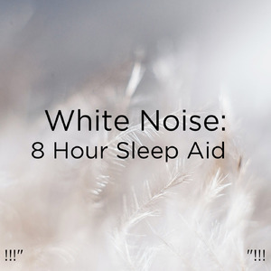 화이트 노이즈 수면